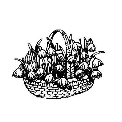 Подснежники в корзине для детей