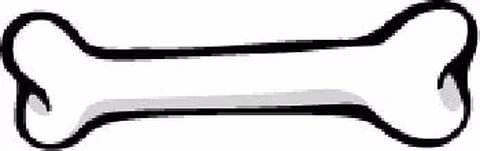 Кости Кощея Бессмертного