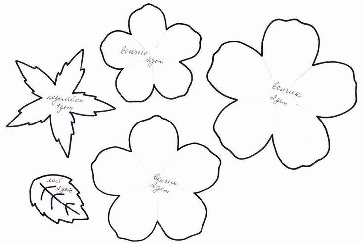 Трафареты цветов