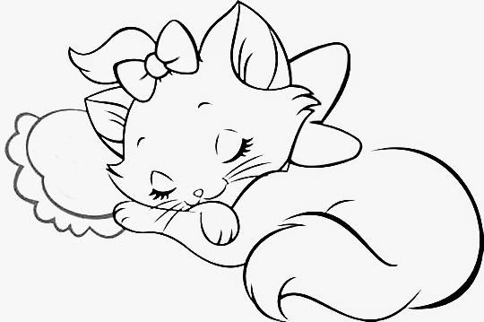 Раскраска. Котики