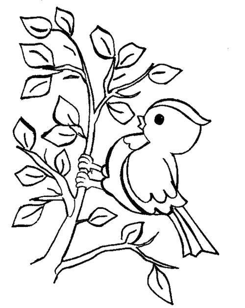 Птицы. Раскраска