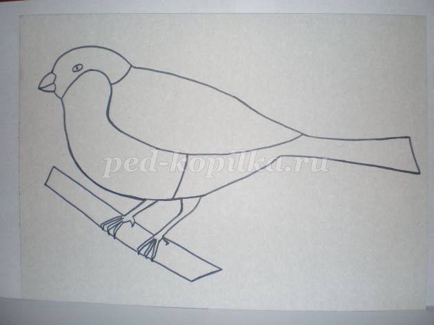 Трафарет снегиря для лепки