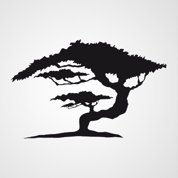 Очертание дерева