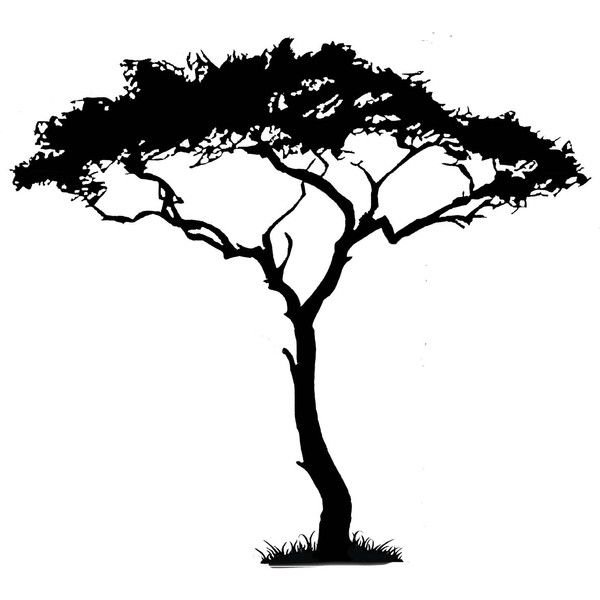 Силуэт дерева на прозрачном фоне