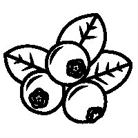 Черника раскраска для малышей