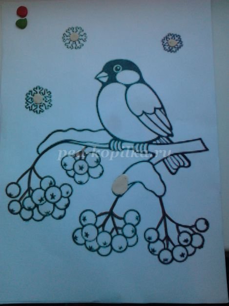 Трафарет снегиря для пластилинографии