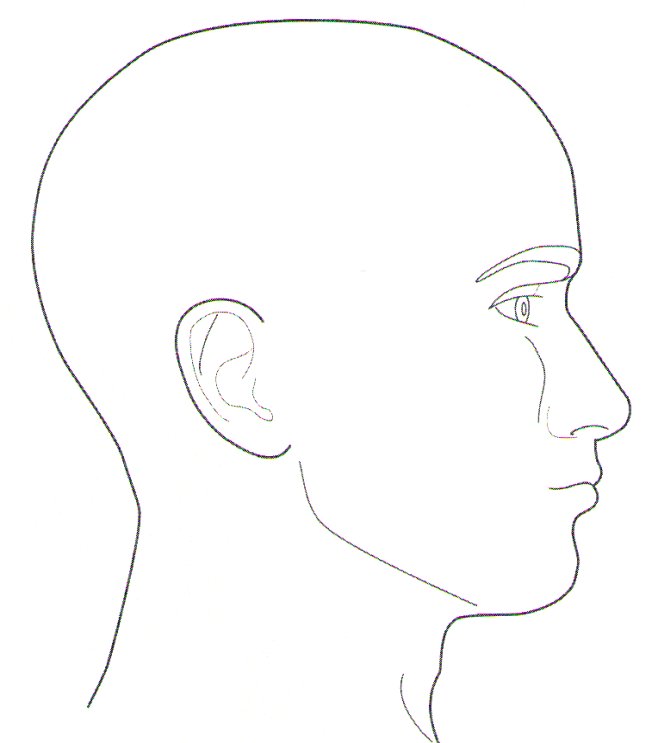 Человеческая голова сбоку