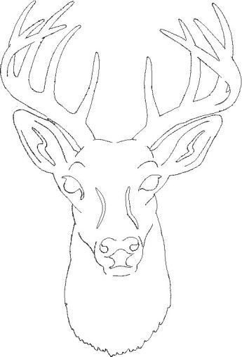 Мордочка оленя