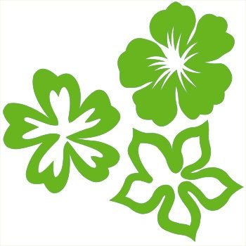 Трафарет цветы для покраски