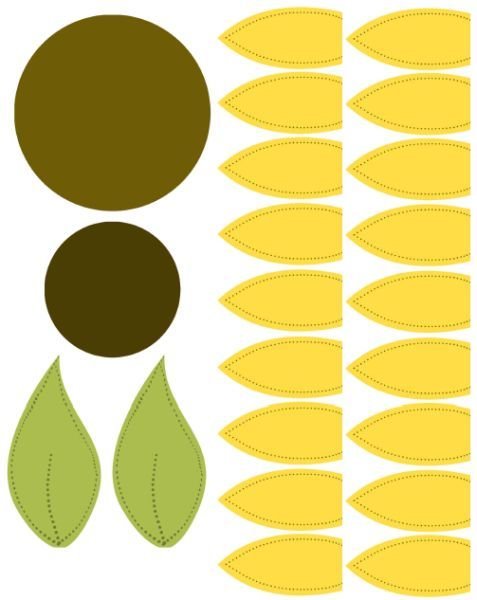 Цветные лепестки