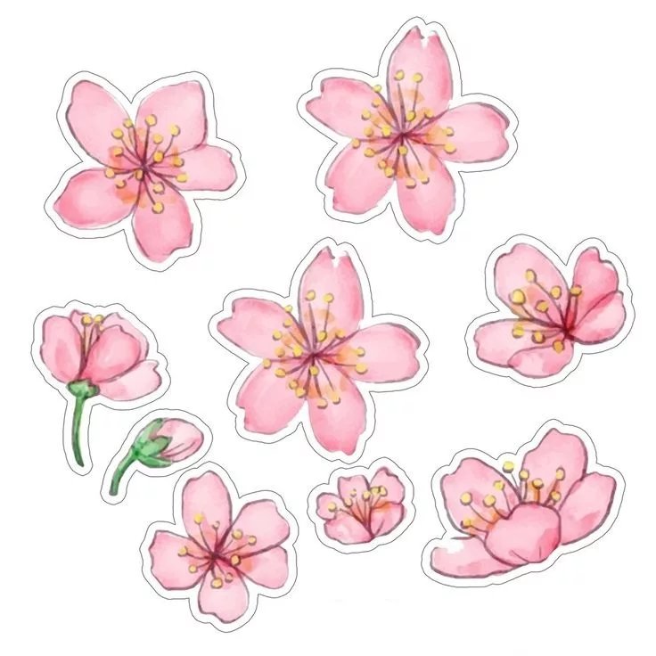 Цветы для распечатки цветные