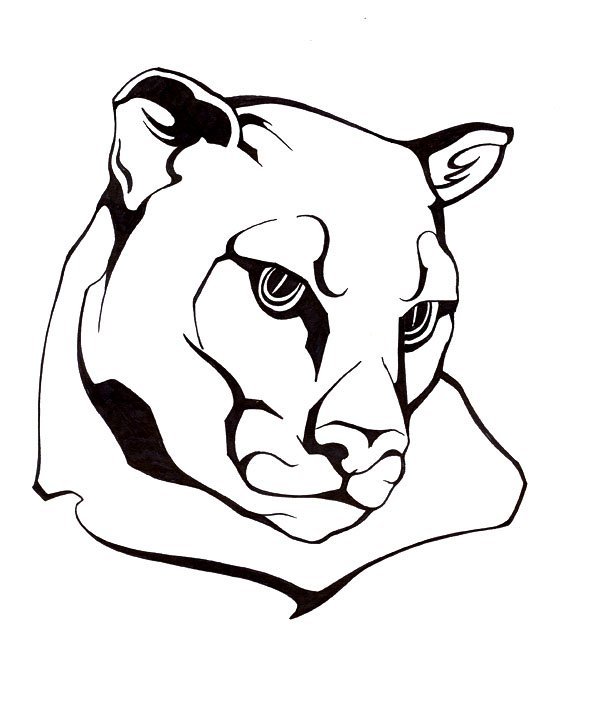 Черно белые рисунки