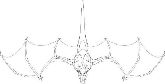 Дракон 3д ручкой трафарет