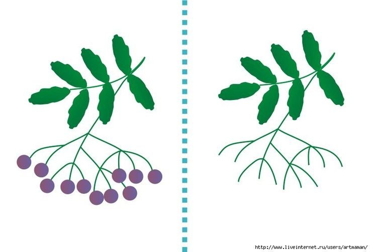 Рисование пальчиками