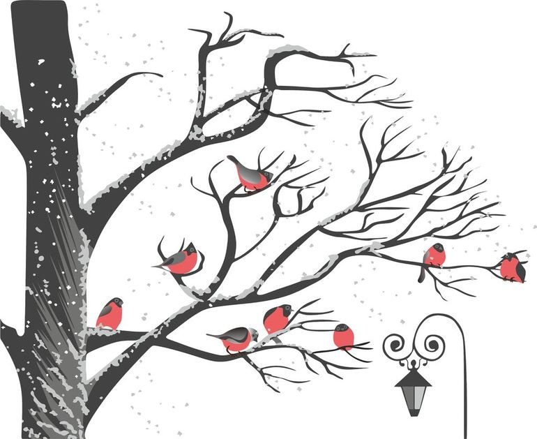 Раскраска дерево рябина зимой