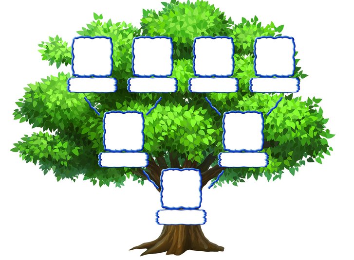 Родословная дерево