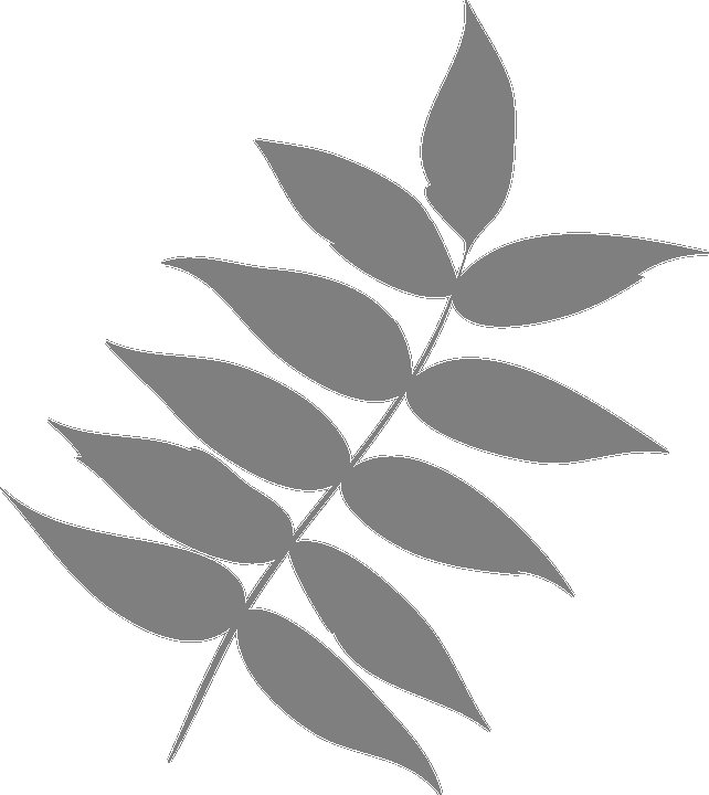 Рябиновый лист шаблон