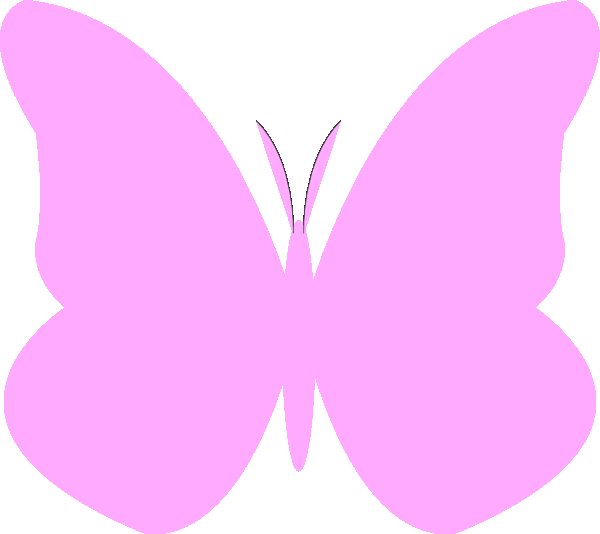 Бабочки розовые