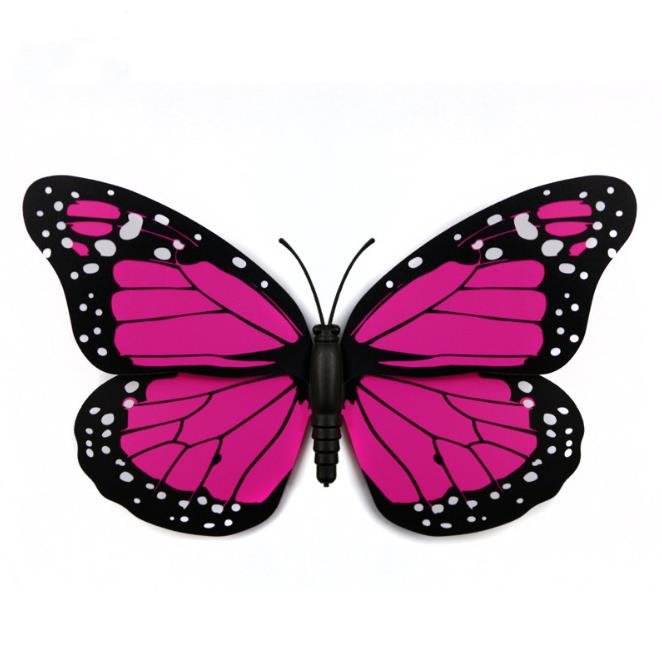 Бабочки для декора печать