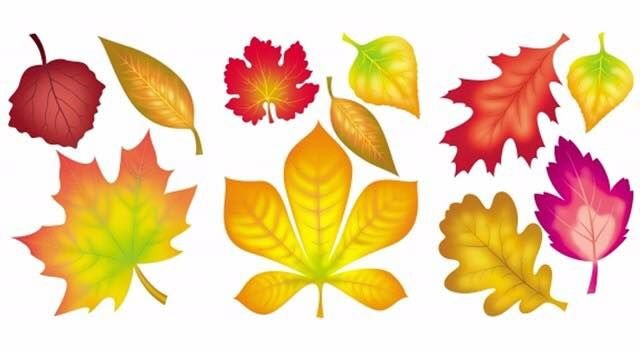 Осенние листики для детского сада