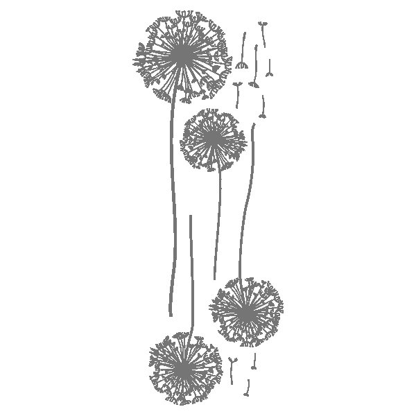 одуванчики для покраски стен