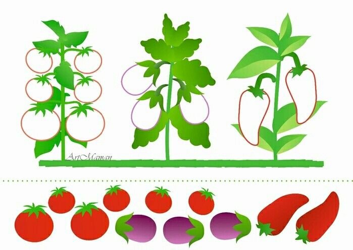 Овощи и фрукты для вырезания