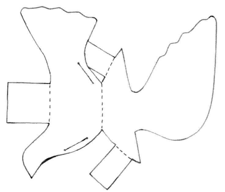Макет голубя из бумаги