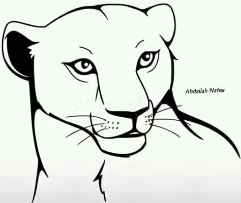 Львица рисунок