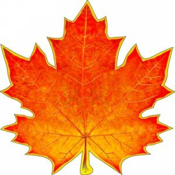 Кленовый лист