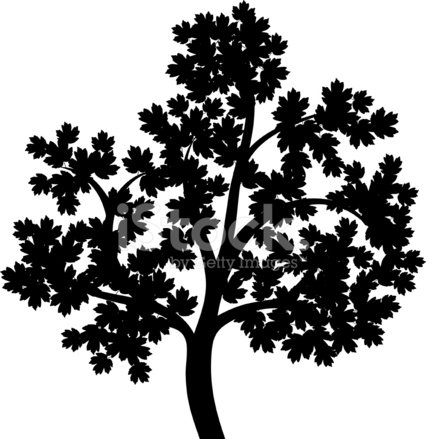Дерево силуэт клен