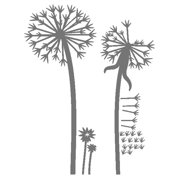 Трафарет одуванчика для рисования