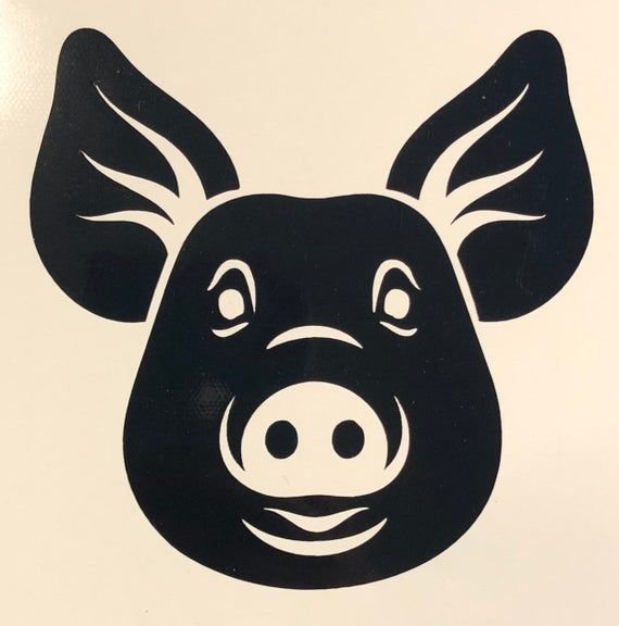 Морда свиньи