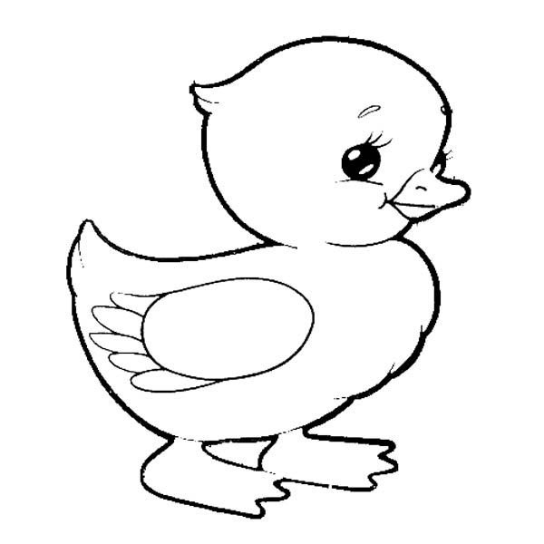 Утёнок раскраска для детей