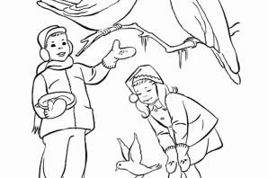 Раскраска кормушка для птиц для детей