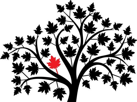 Контур дерева клен