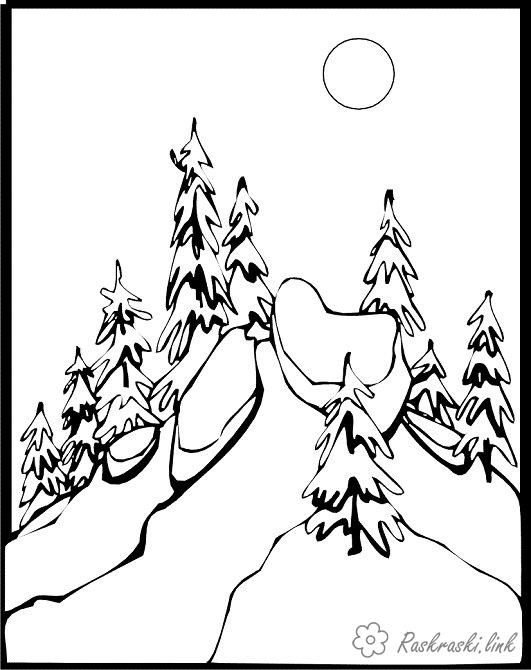 Зимний лес раскраска