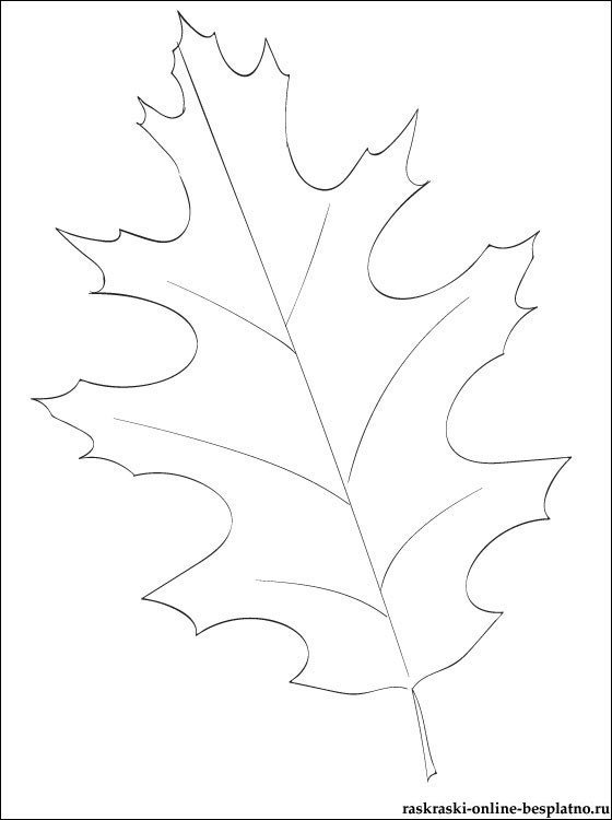 Кленовый и дубовый лист трафарет