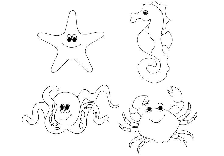 Раскраска морские обитатели