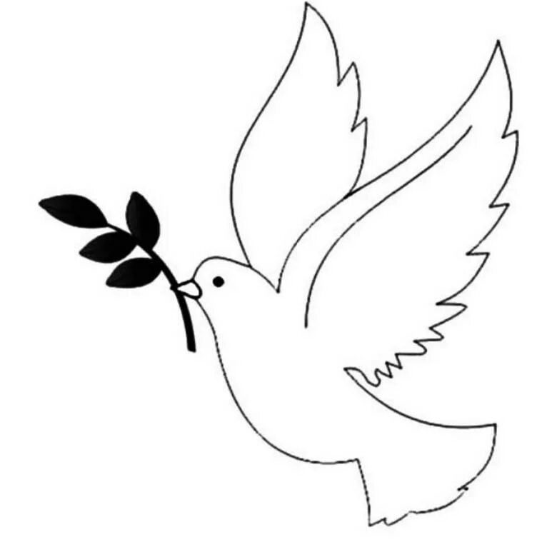 Голубь с веточкой