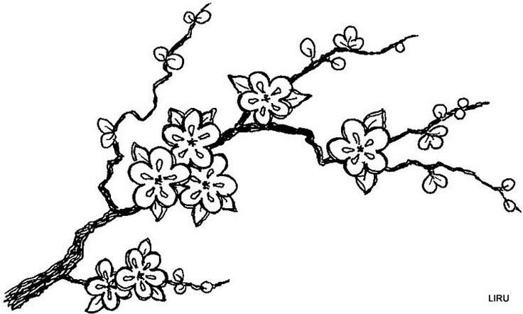 Ветка с цветами рисунок
