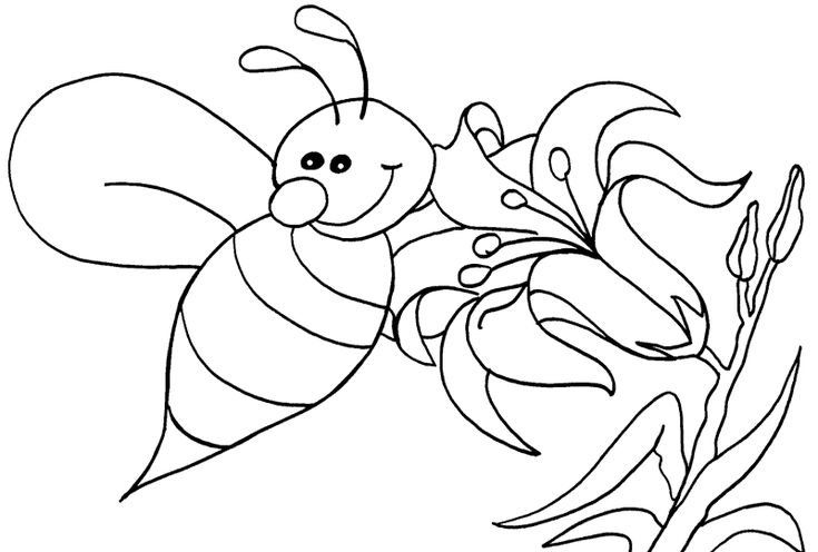 Раскраска пчёлка для детей