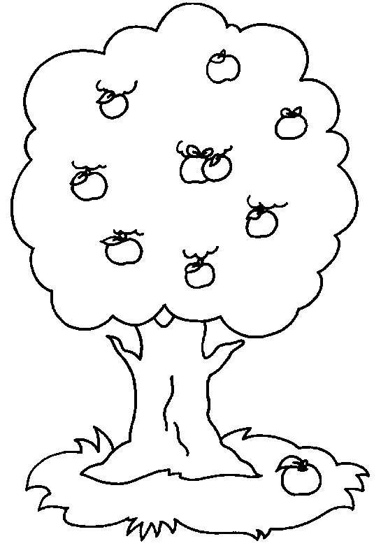Дерево яблоня раскраска для детей