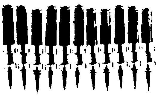 Нашивка пулеметной ленты