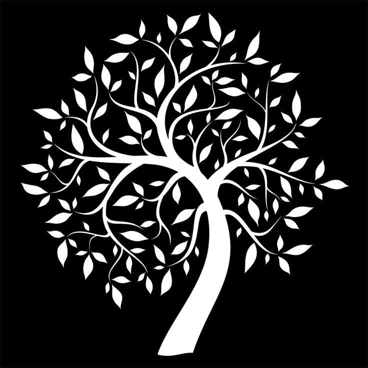 Узоры на дереве