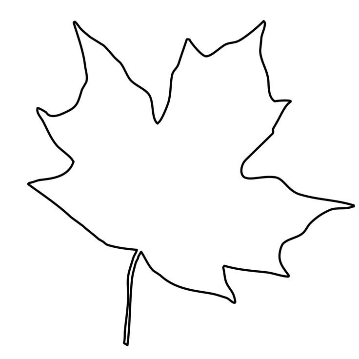 Трафарет осенних листьев