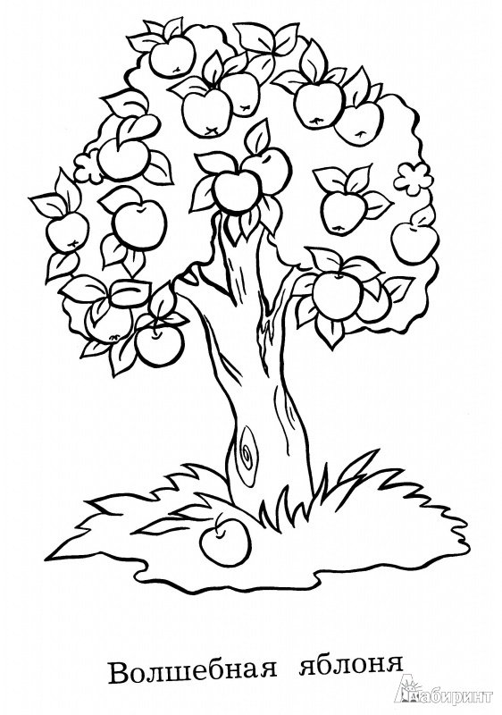 Яблоня раскраска