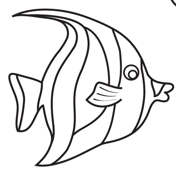 Контур рыбка Скалярия
