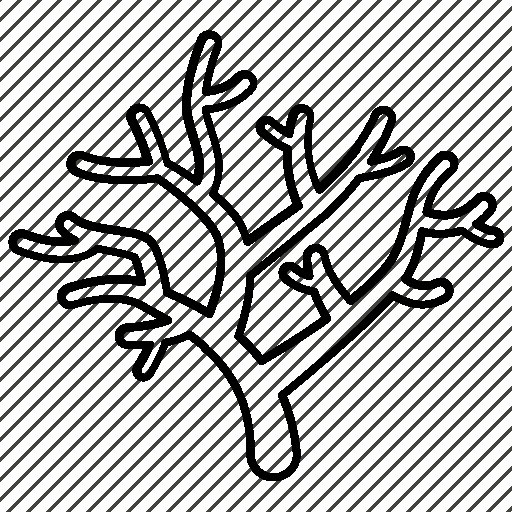 Кораллы раскраска для детей