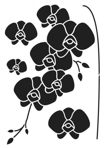 Трафарет орхидеи на стену