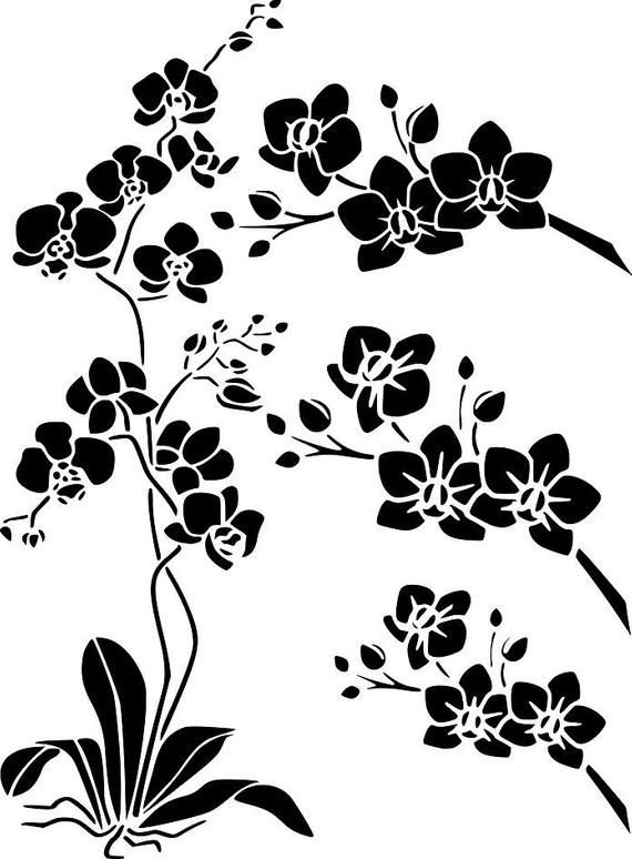 Трафарет орхидеи